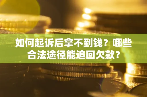 武汉如何起诉后拿不到钱？哪些合法途径能追回欠款？