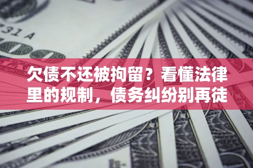 武汉欠债不还被拘留？看懂法律里的规制，债务纠纷别再徒劳奔波