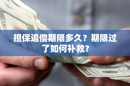 武汉担保追偿期限多久？期限过了如何补救？
