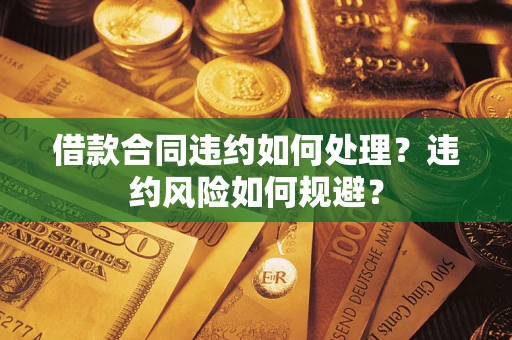 武汉借款合同违约如何处理？违约风险如何规避？