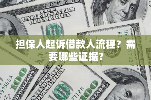 武汉担保人起诉借款人流程？需要哪些证据？