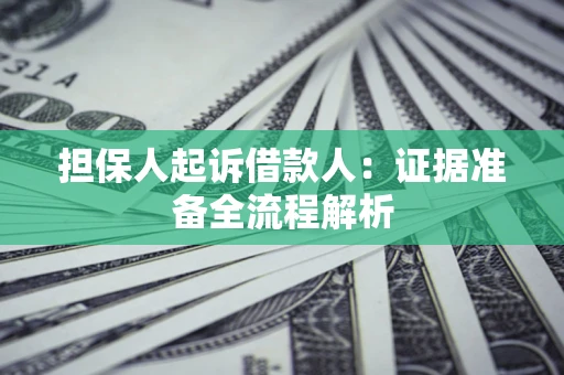 武汉担保人起诉借款人：证据准备全流程解析