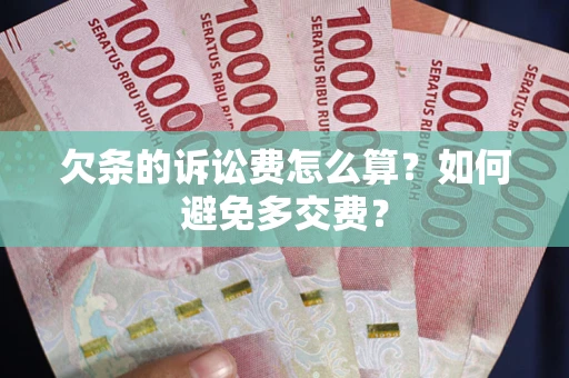 武汉欠条的诉讼费怎么算？如何避免多交费？