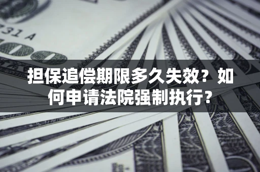 武汉担保追偿期限多久失效？如何申请法院强制执行？