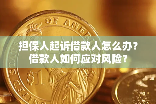 武汉担保人起诉借款人怎么办？借款人如何应对风险？