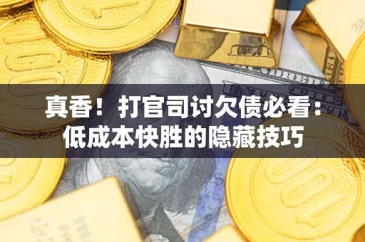 武汉真香！打官司讨欠债必看：低成本快胜的隐藏技巧