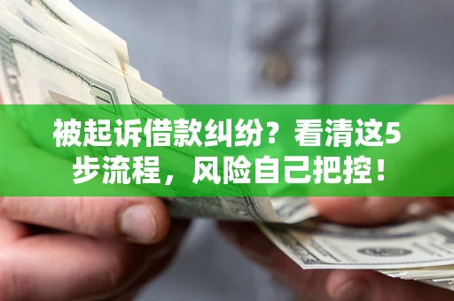 武汉被起诉借款纠纷？看清这5步流程，风险自己把控！