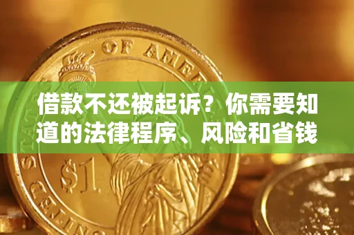 武汉借款不还被起诉？你需要知道的法律程序、风险和省钱技巧